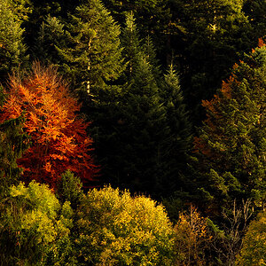 PA170011-Edit.jpg
