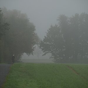 DSC_3320_NIKON Z 5_1200.jpg