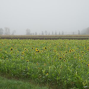 DSC_3340_NIKON Z 5_1200.jpg