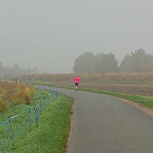 DSC_3331_NIKON Z 5_1200.jpg