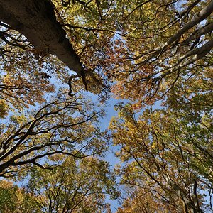 DSC_9666_00001n.jpg