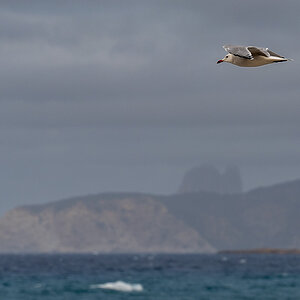 20241009-NZ7_0777.jpg