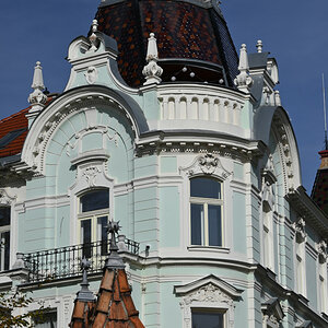 WOT_2530-800x1200.JPG
