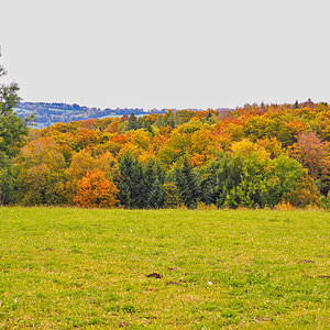 P9280116-Edit.jpg