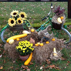 Erntedank-Fahrrad.jpg