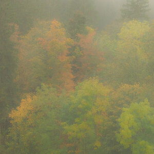 PA220010-Edit.jpg