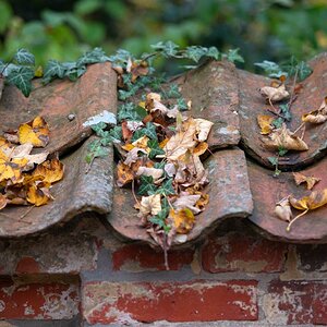 Herbstmauer.jpg
