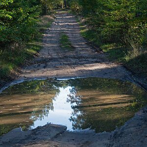 Pfützenweg.jpg