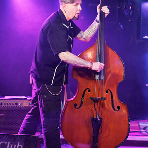 Stompin' Roots.jpg