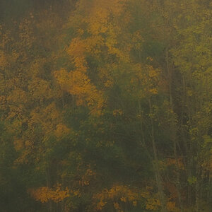 PA220017-Edit.jpg