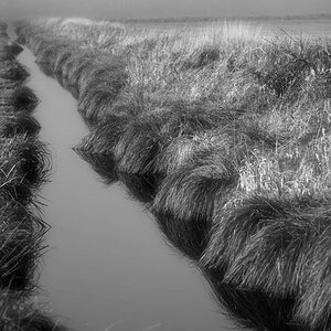 In den Seewiesen BW.jpg