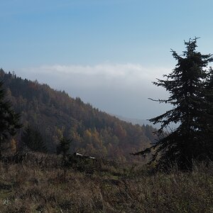 PA273738n.JPG