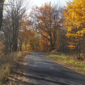 PA273757kn.JPG