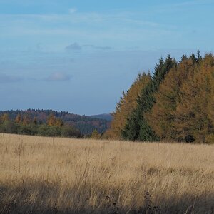 PA273765n.JPG