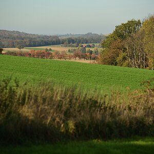 DSC_2654_00001n.jpg