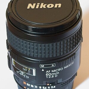 DSC_3613_NIKON Z 5.jpg