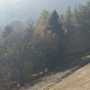 PA273741n.JPG