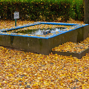 OF2_70739.jpg