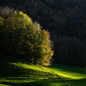 Herbst.jpg