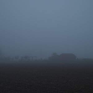 DSC_3839_NIKON Z 5_1200.jpg