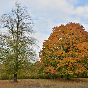 DSC_2438.JPG