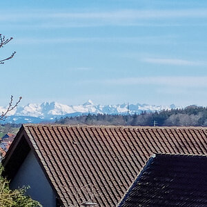 20240325_152025-1.jpg