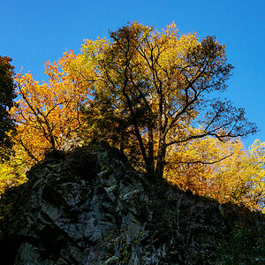Herbst.jpg