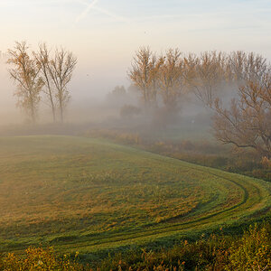 OF2_70671.jpg