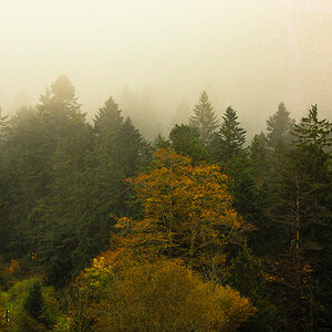 PA220021-Edit.jpg