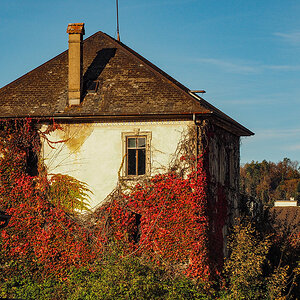 PA250013.jpg