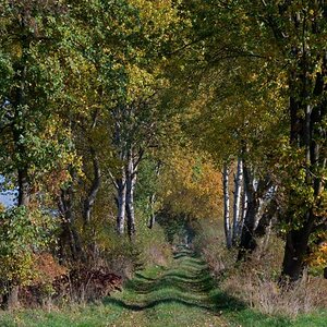 Moorweg 4.jpg
