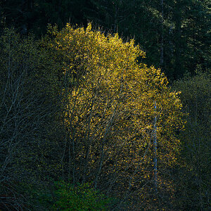 Herbst_Z7A_9061.jpg
