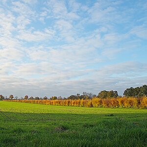 DSC_3948_NIKON Z 5_1200.jpg
