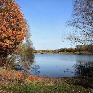 DSC_2468.JPG