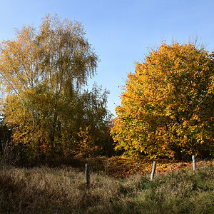 DSC_2404.JPG