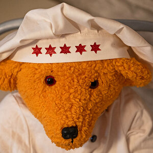5 Sterne Teddykoch.jpg