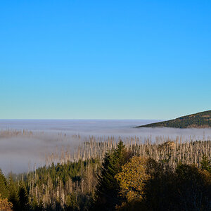 DSC_5422 1.jpg