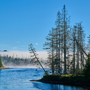 DSC_5412 1.jpg