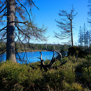 DSC_5415.jpg