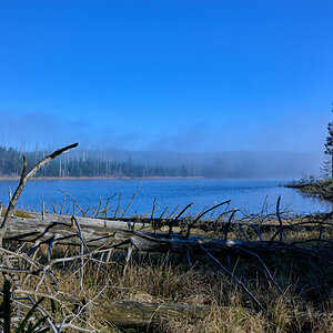 DSC_5416.jpg