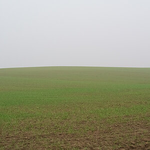 Nebel.jpg