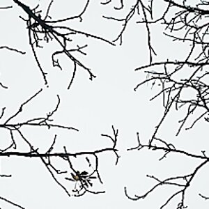 FP5_2024_11_09_10_18_14_1200.jpg