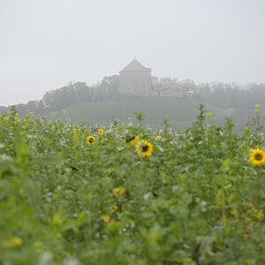 Helfenberg_Zf_DSC0078_12x18x150.jpg