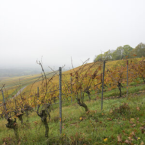 Helfenberg_Zf_DSC0088_12x18x150.jpg