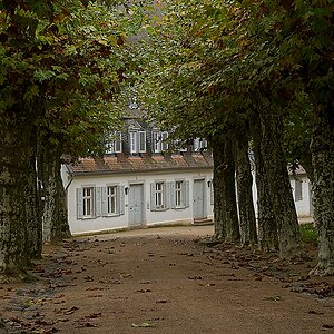 DSC_4096_NIKON Z 5_1200.jpg