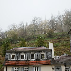 DSC_4101_NIKON Z 5_1200.jpg