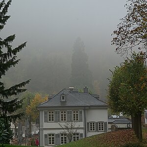 DSC_4115_NIKON Z 5_1200.jpg