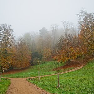DSC_4117_NIKON Z 5_1200.jpg
