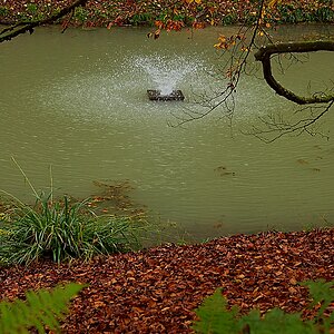 DSC_4162_NIKON Z 5_1200.jpg