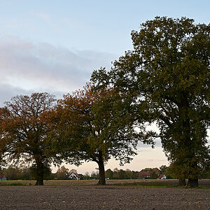 Z8A_0388t5l10s50p1.jpg